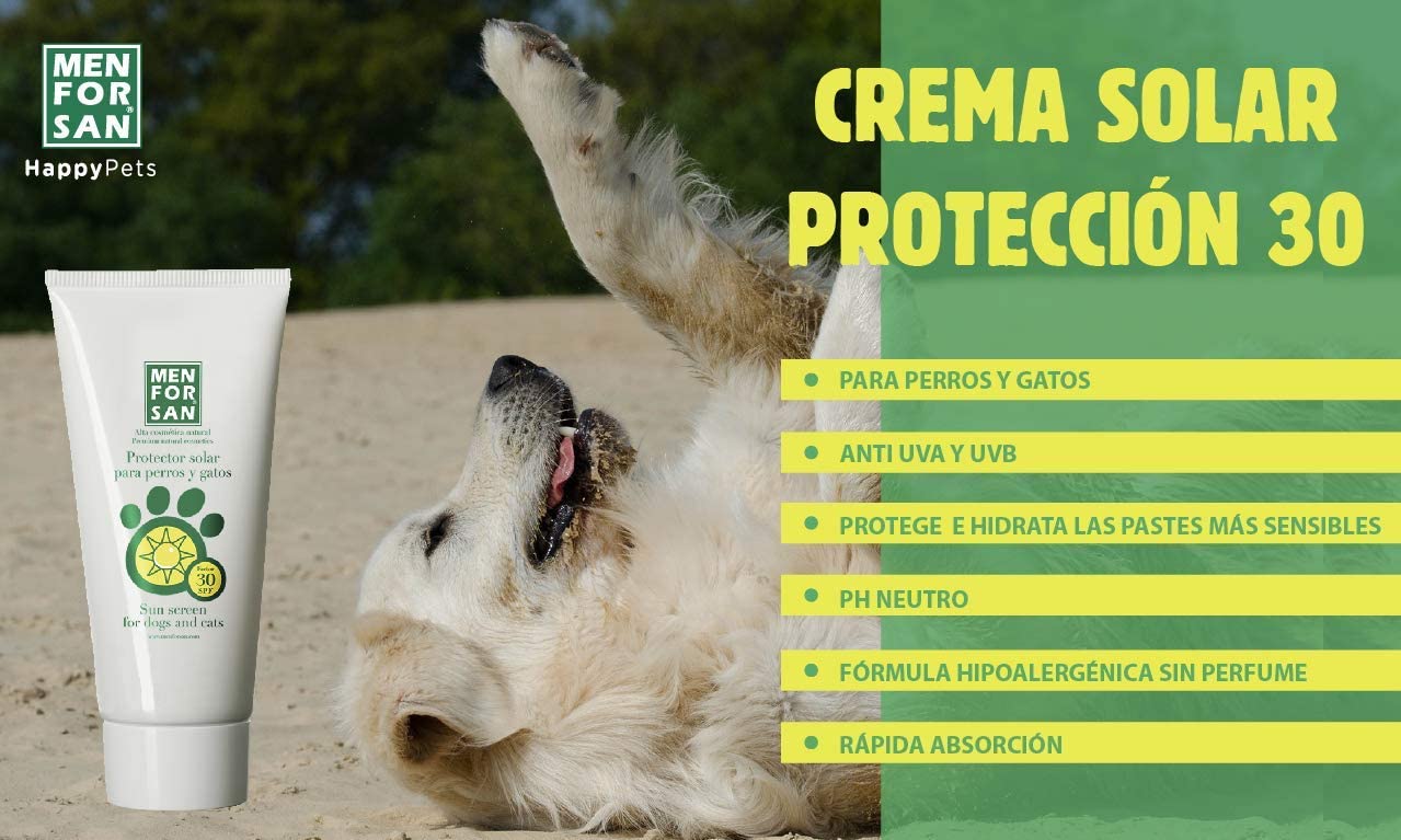 compromiso Superior puerta ▷ ¿Cómo proteger del sol a mi mascota? ¿Se pueden usar protectores solares?
